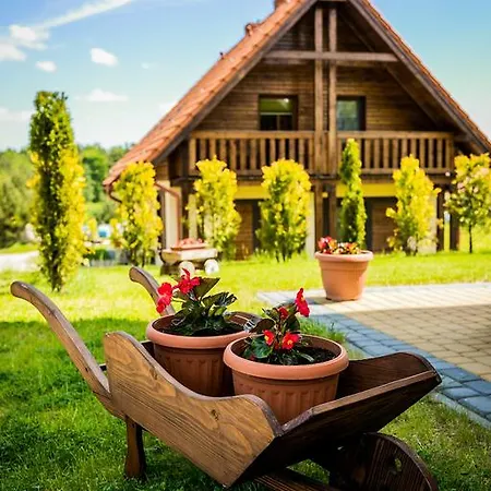 Domki Sosenka Apartament